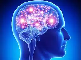  Memory concentration in young adults